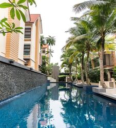 Holland Link (D10), Terrace #503549041